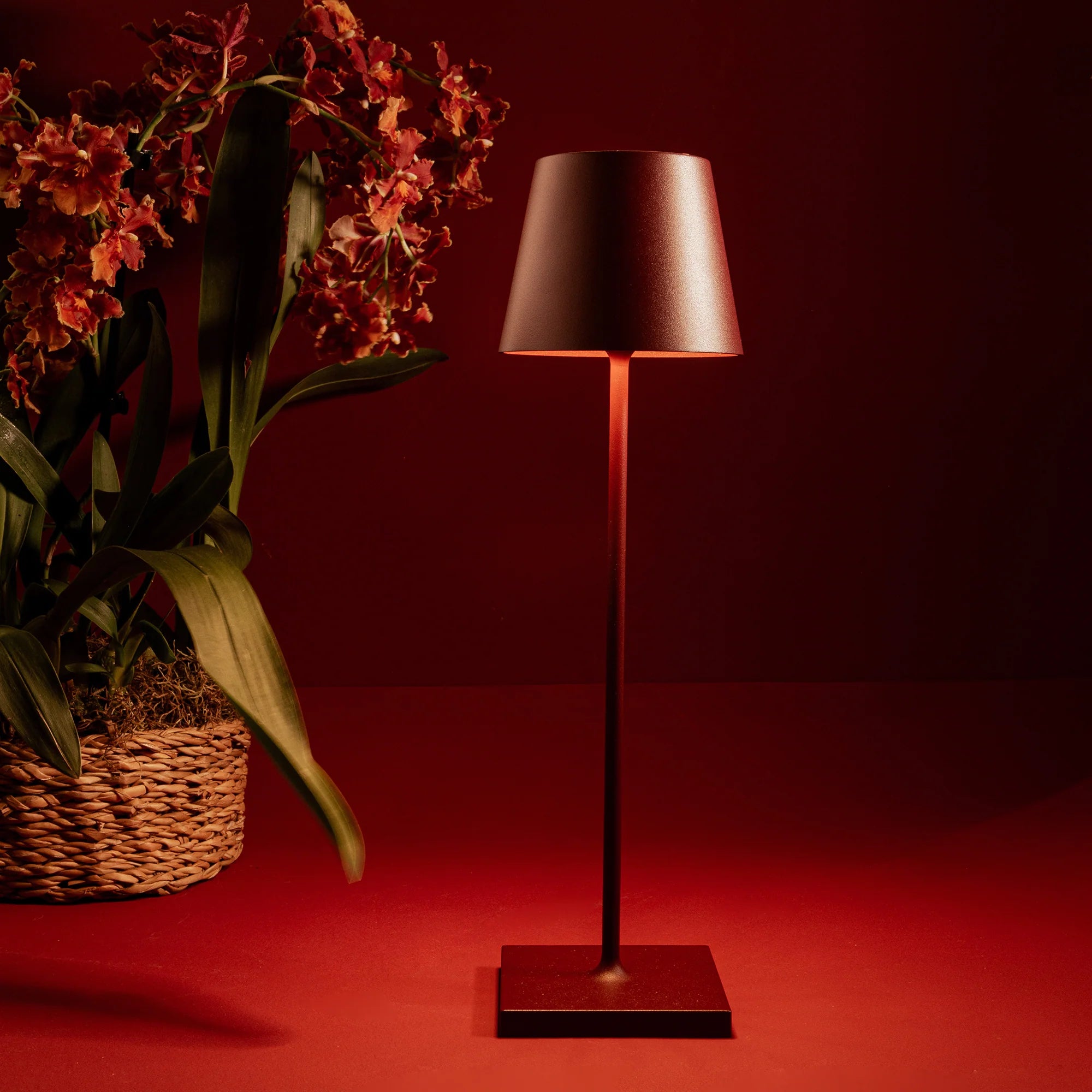 Zafferano Poldina stolna lampa